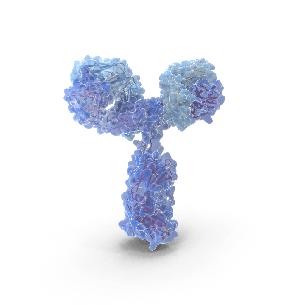 Anti-Human D-dimer Ab - cross reacts with fibrinogen CAT# MFDP-80A-1G11