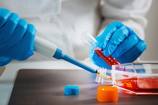 [RW2-TRC-C284880-10MG] N-[3-Chloro-4-[(3-fluorophenyl)methoxy]phenyl]-6-[5-[[[2-(methylsulfonyl)ethyl]oxidoimino]methyl]-2-furanyl]-4-quinazolinamine 10mg