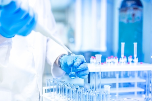 [RW2-TRC-B412933-500MG] N~2~,N~2~-Diallyl-1,3,5-triazine-2,4,6-triamine 500mg