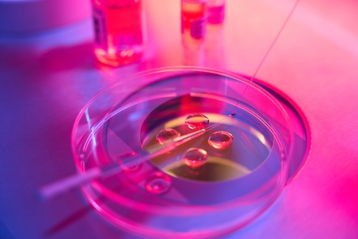 [RW2-TRC-R800210-1ML] Rapeseed Oil 1ml