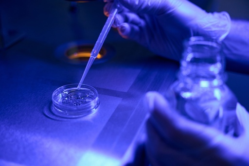 [RW2-TRC-S484995-1MG] Simvastatin t-Butyldimethylsilyl Acyl-Beta-D-glucuronide-O-acrylate 1mg