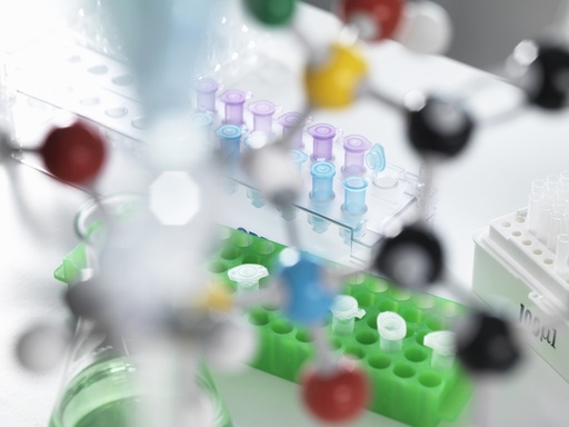 [RW2-TRC-B694805-25MG] tert-Butyl N-[2-[2-(6-chlorohexyloxy)ethoxy]ethyl]carbamate 25mg