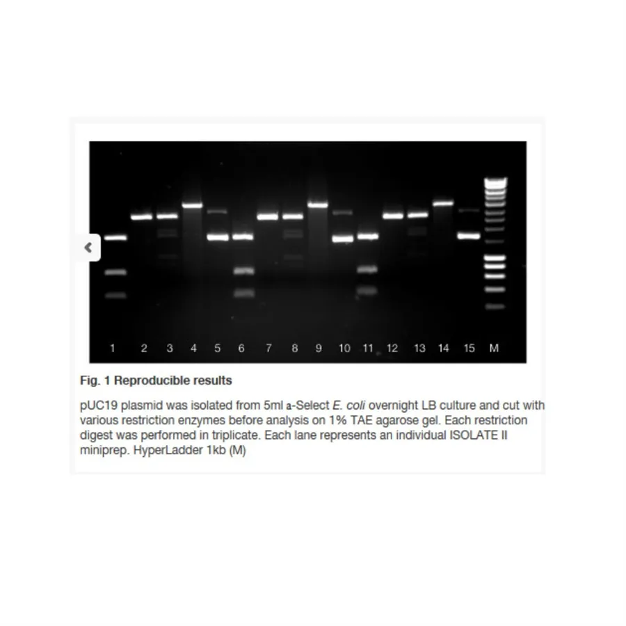 [GEN-BIO-52055] ISOLATE II Plasmid Mini Kit