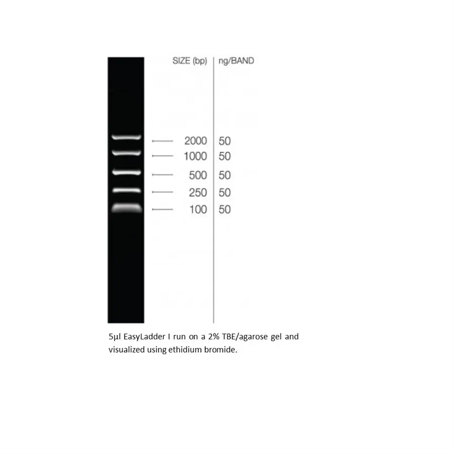 [GEN-BIO-33046] EasyLadder I